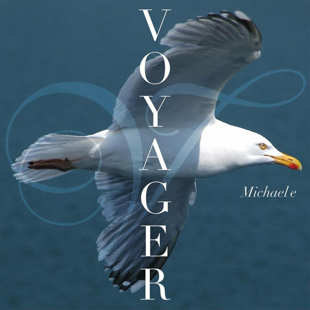 Album cover of Voyager