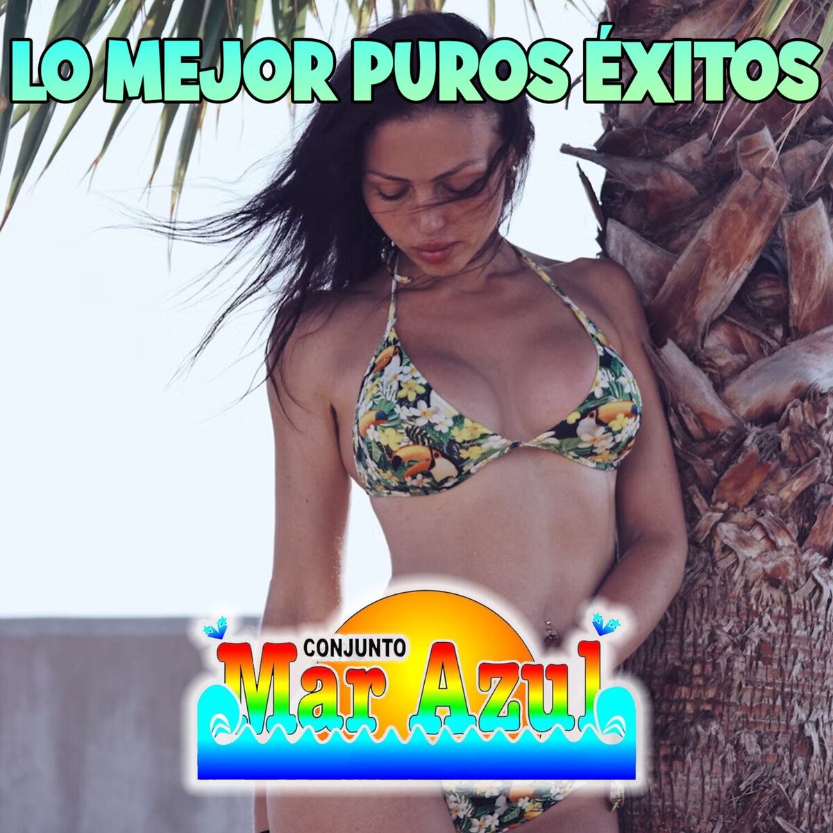 Album cover of Lo mejor puros Éxitos
