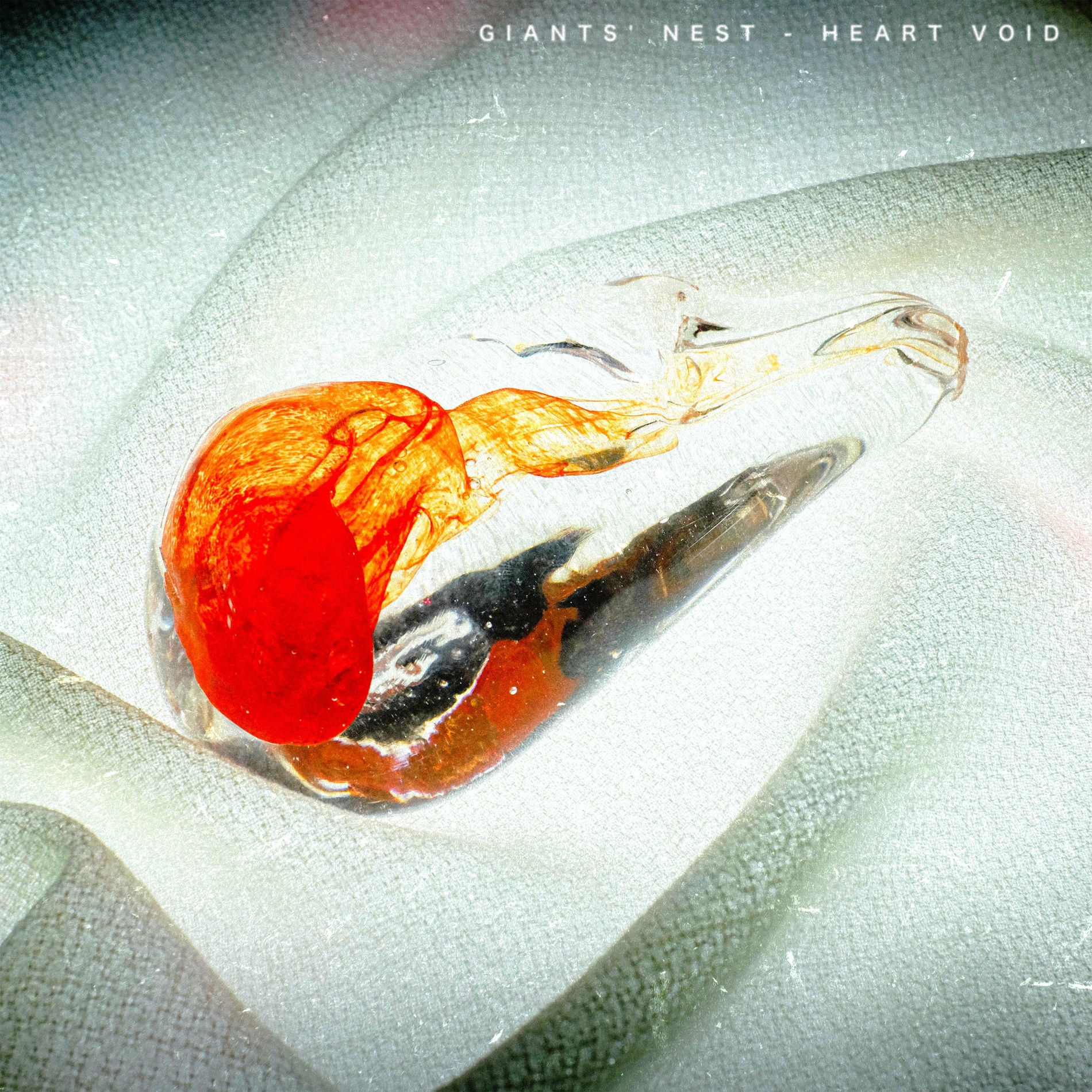 Album cover of Heart Void
