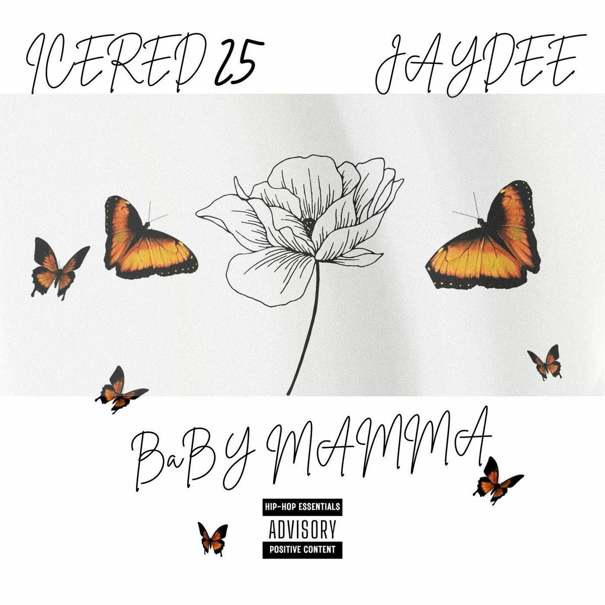 Album cover of Baby Mamma