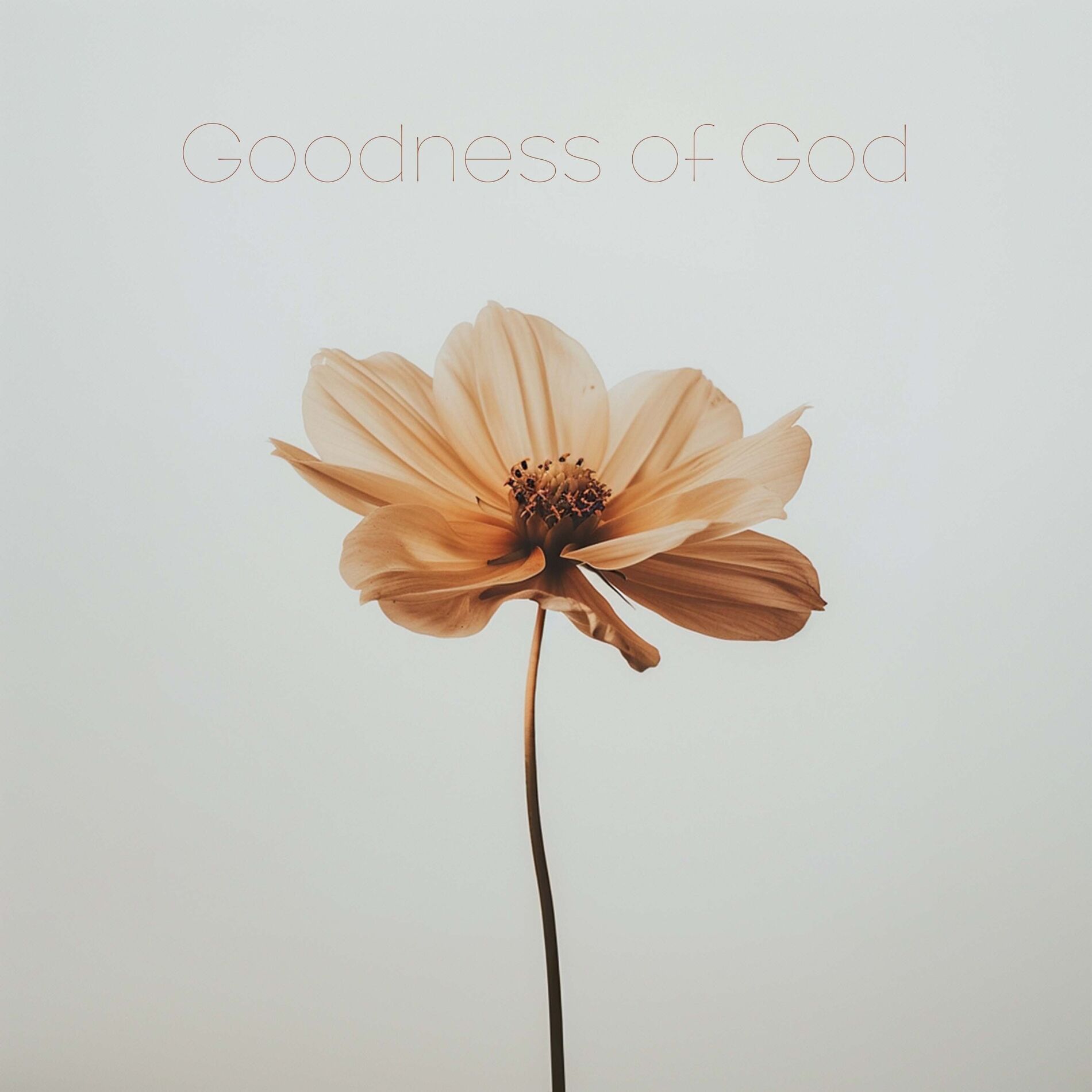 Album cover of Goodness of God