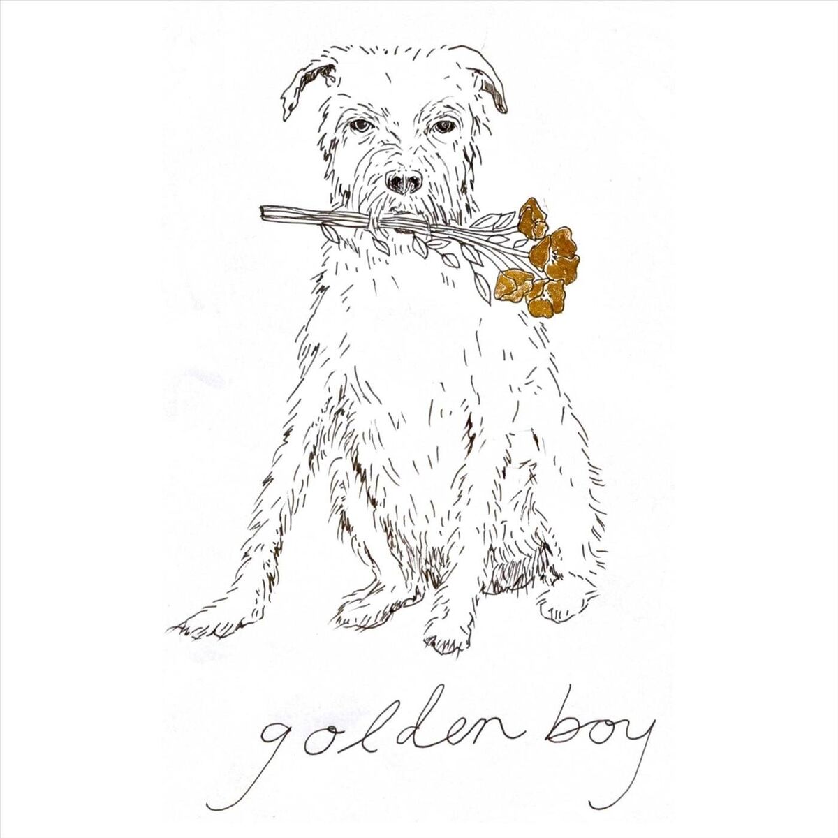 Album cover of Golden Boy