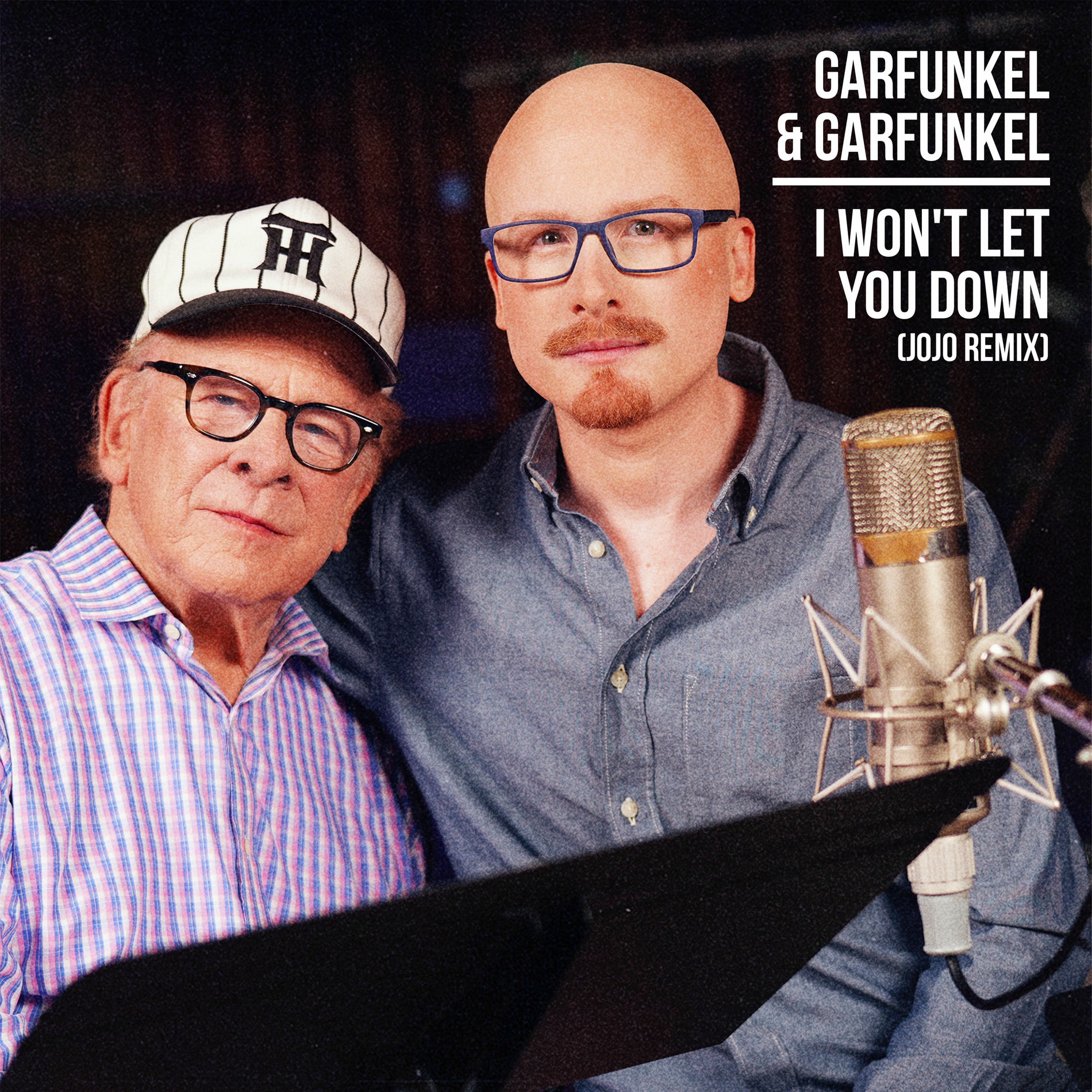 Album cover of I Won't Let You Down