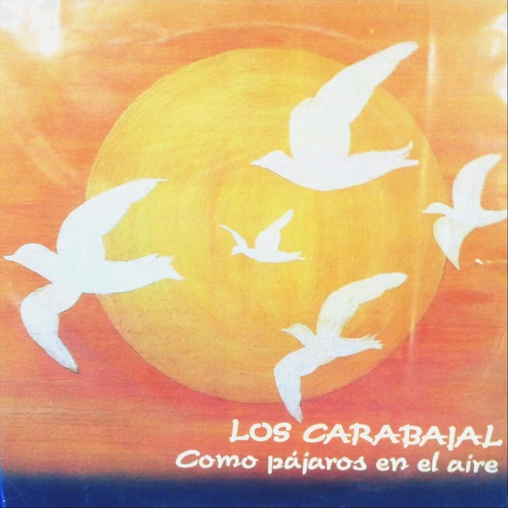 Picture of Como Pajaros en el Aire