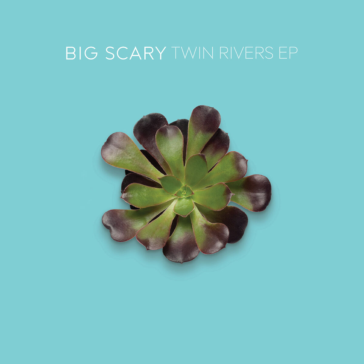 Album cover of Twin Rivers