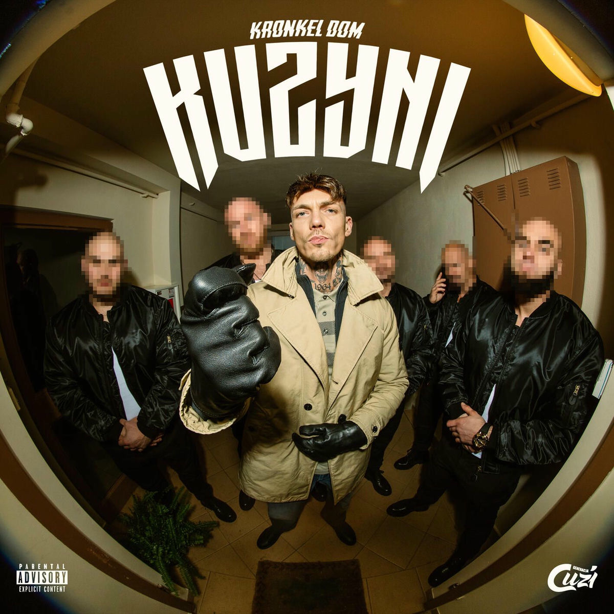 Album cover of KUZYNI