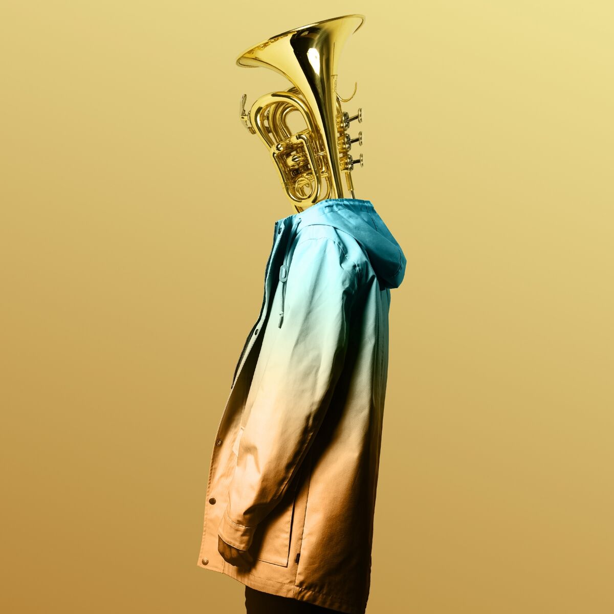 Album cover of I'm gone