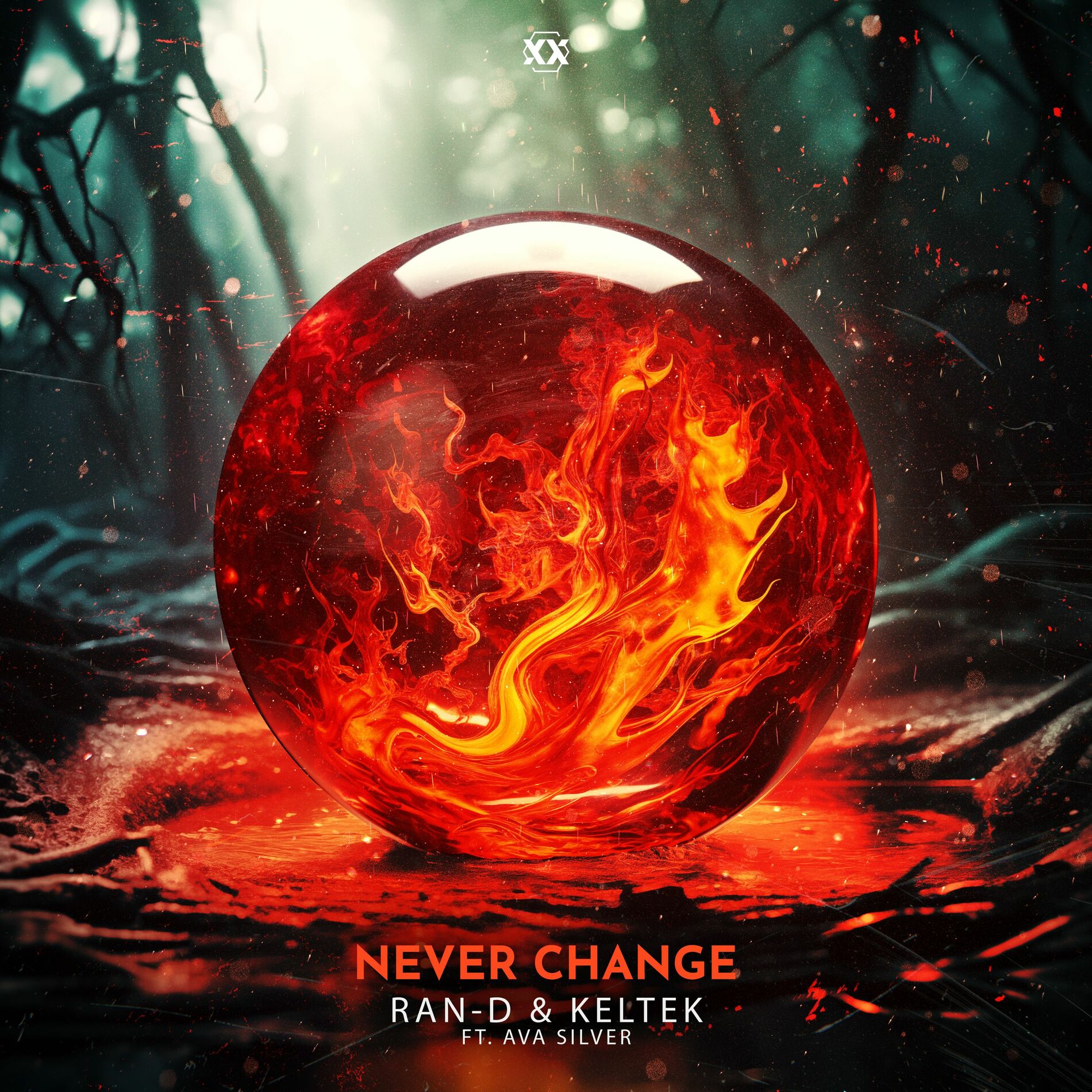 Album cover of Never Change