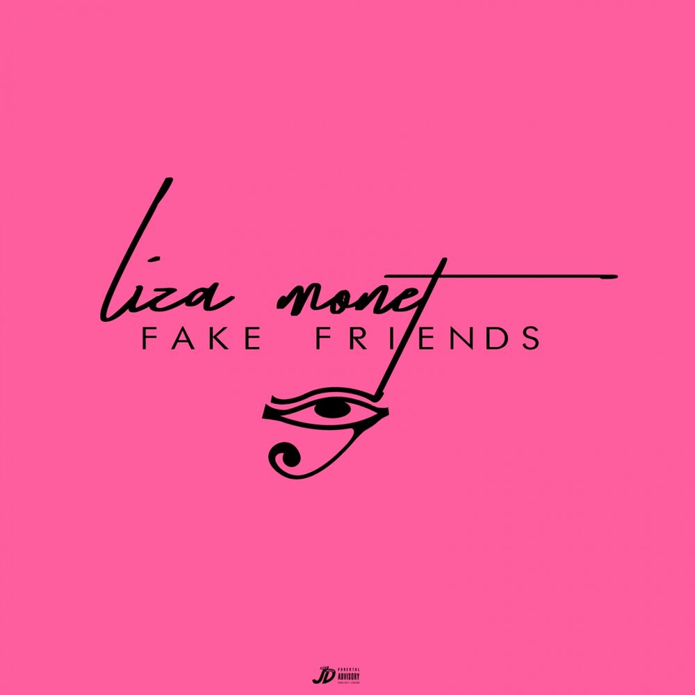 Picture of Fake Friends