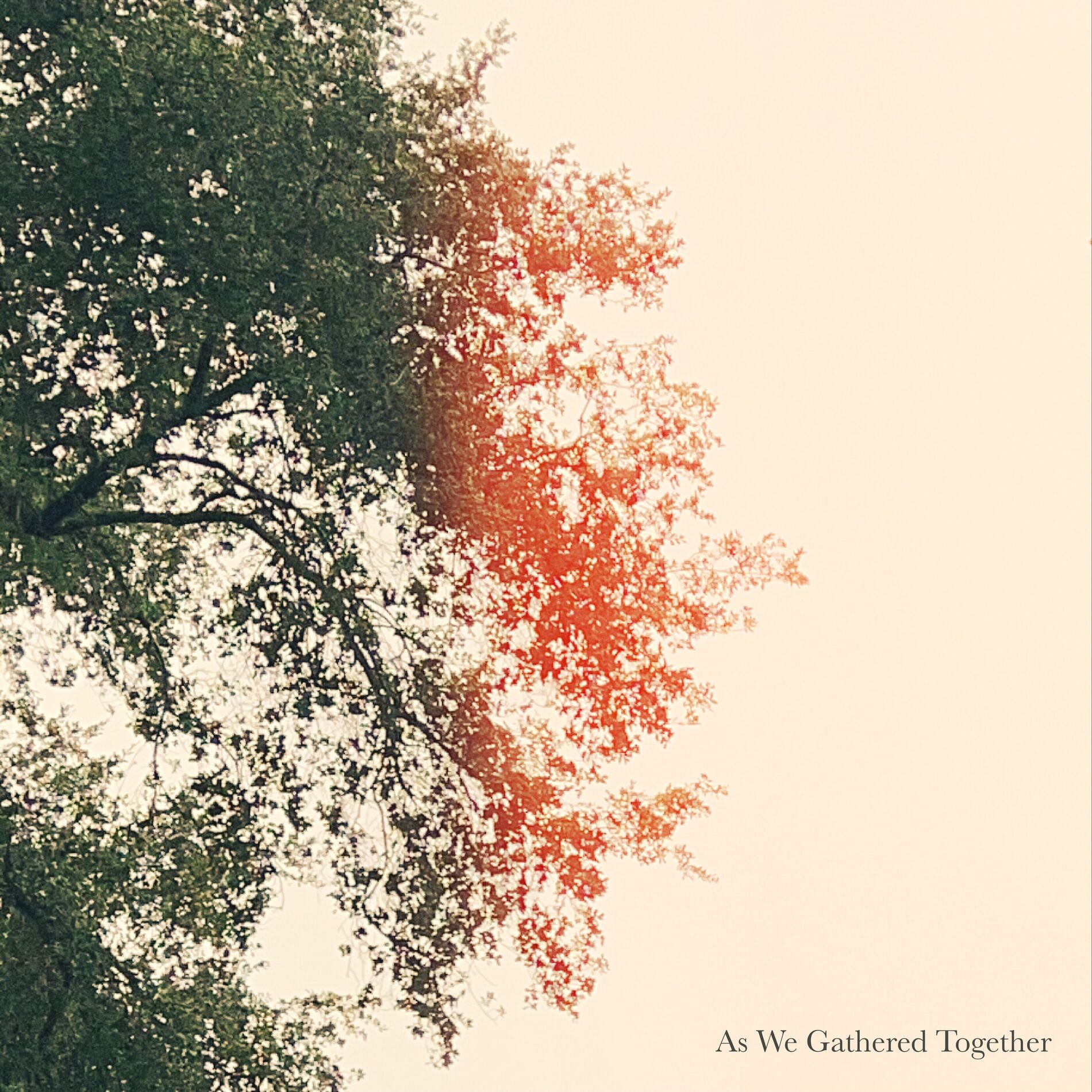 Album cover of As We Gathered Together
