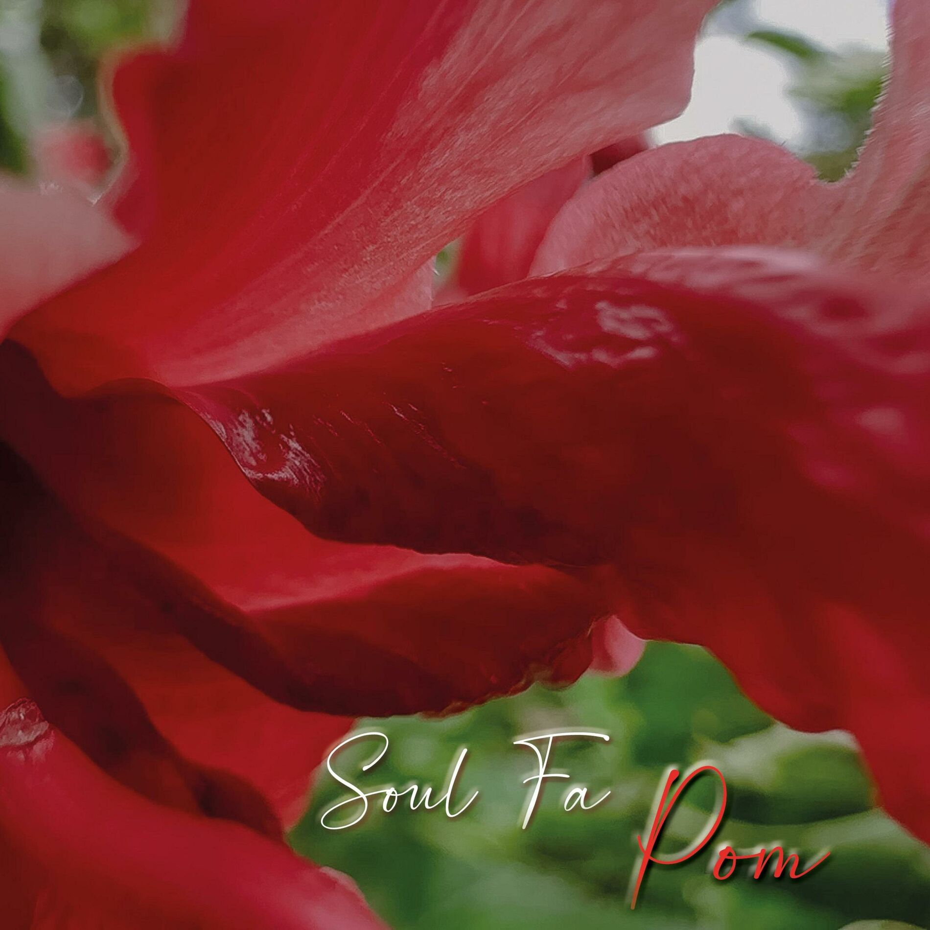 Album cover of POM (Peace Of Mind) (feat. Soul Fa)