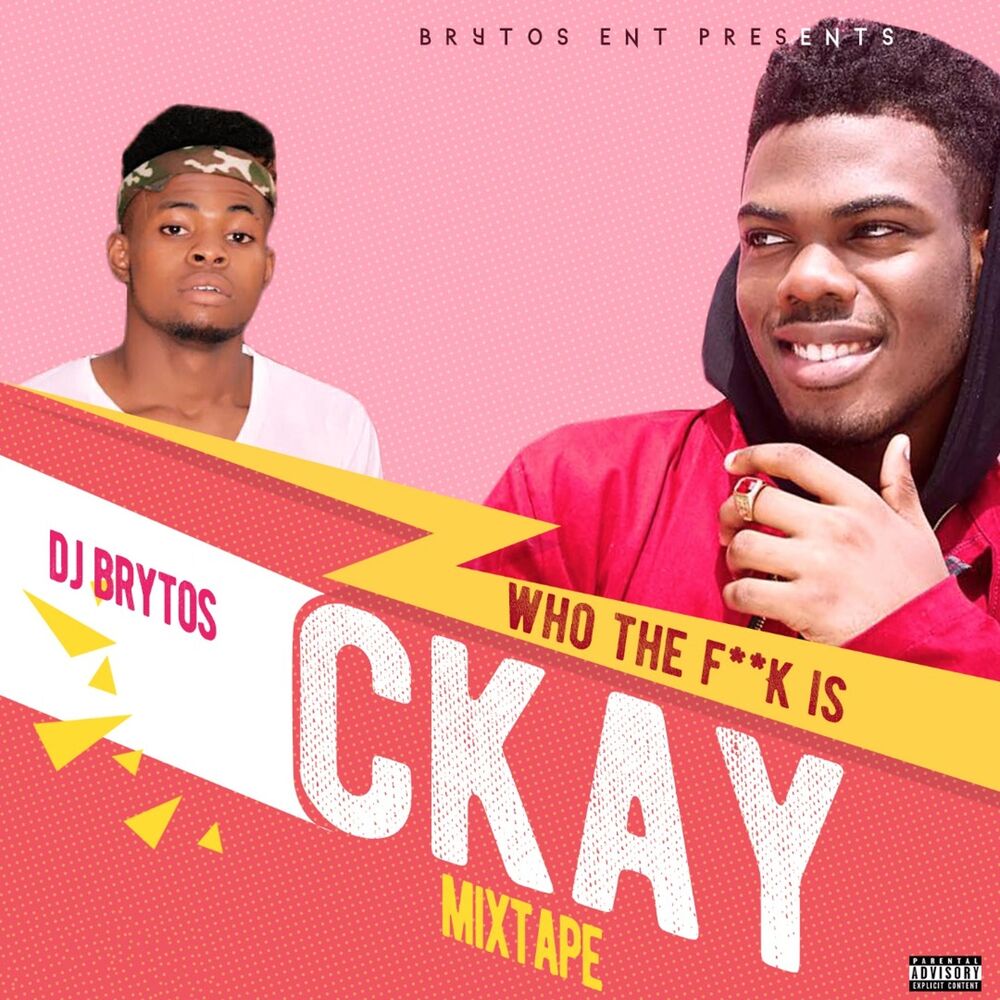Picture of Who the Fuck Is Ckay Mixtape