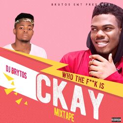 Cover of Who the Fuck Is Ckay Mixtape