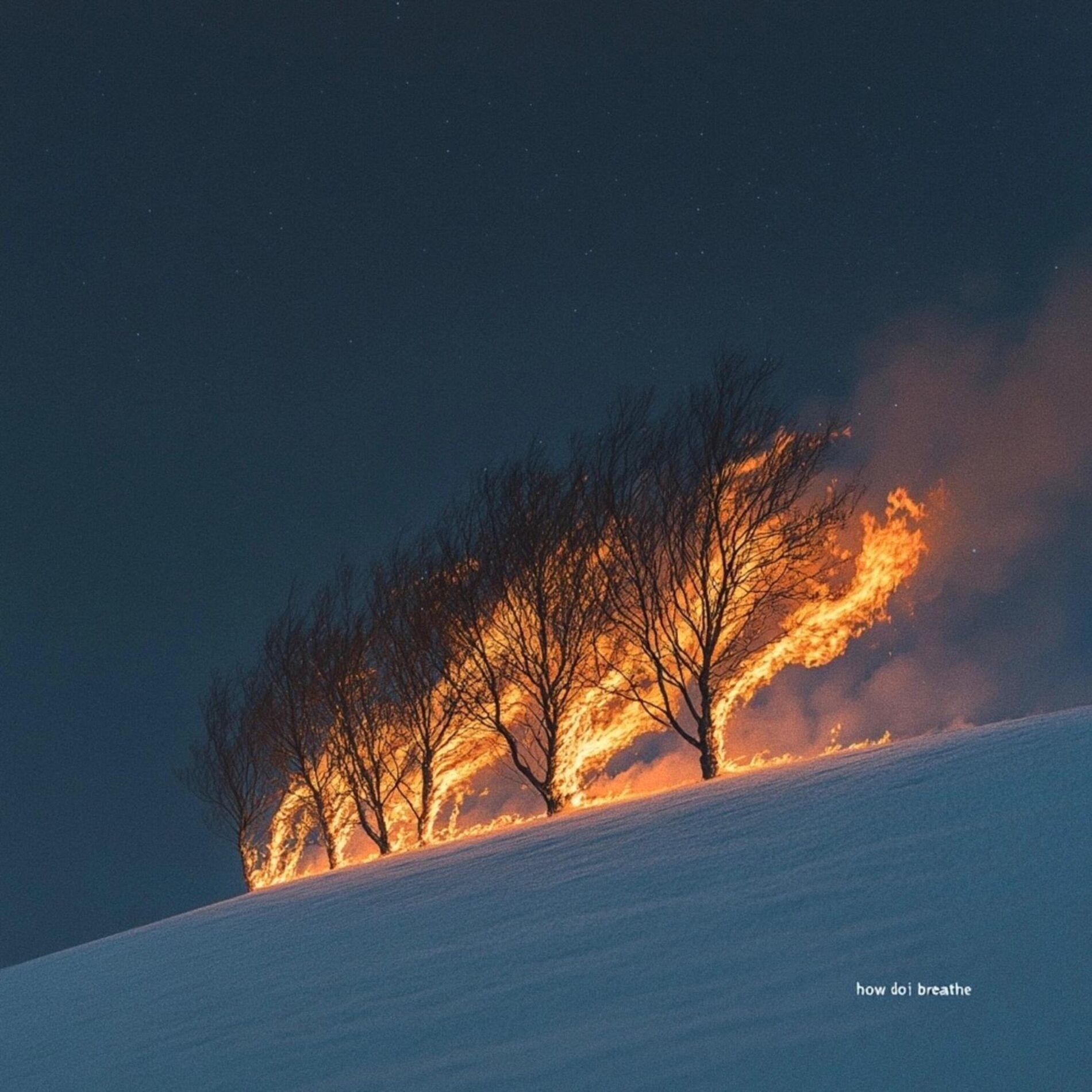 Album cover of How Do I Breathe