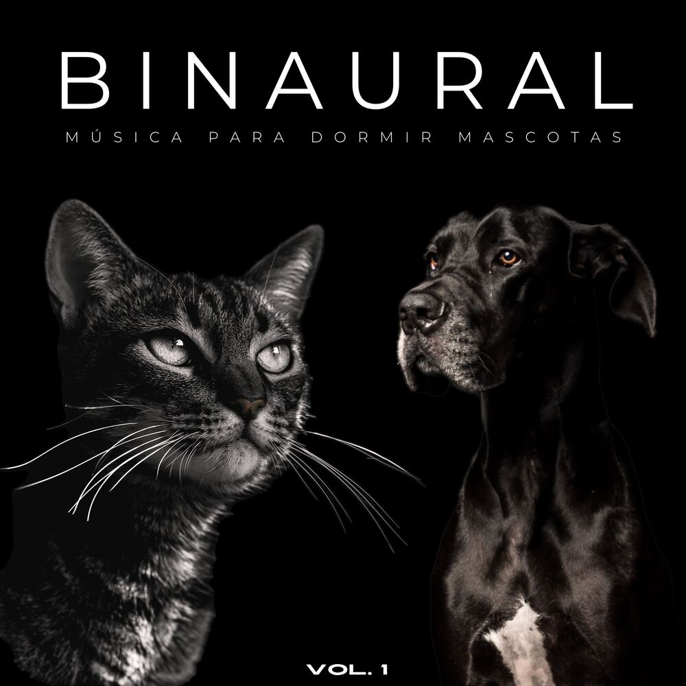 Picture of Binaural: Música Para Dormir Mascotas Vol. 1
