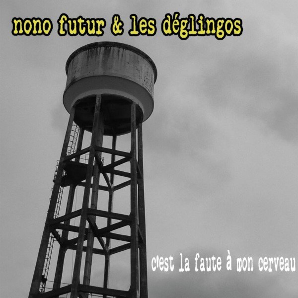 Album cover of C'est la faute à mon cerveau
