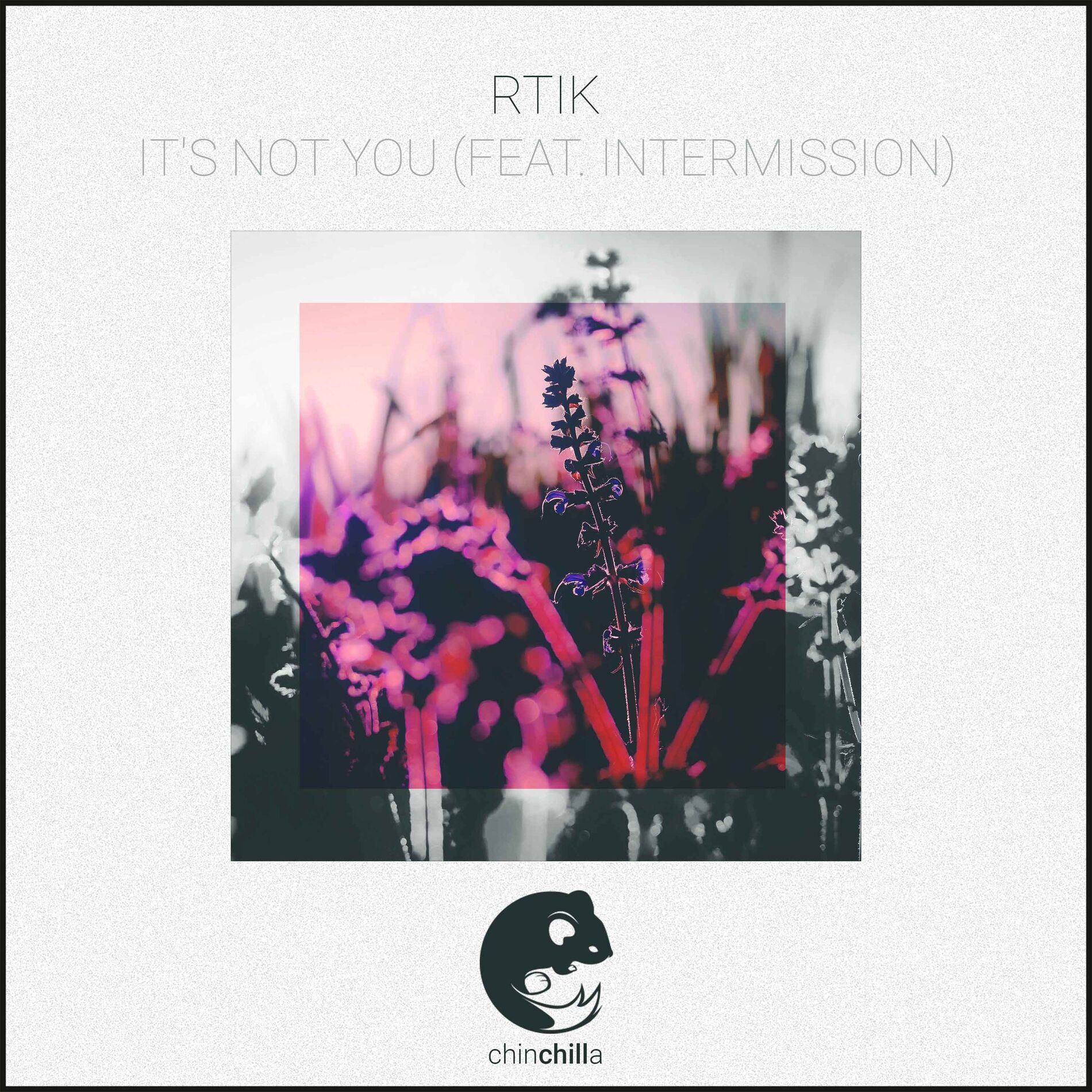 Album cover of It's Not You (feat. Intermission)