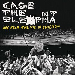 Cover of Live From The Vic In Chicago
