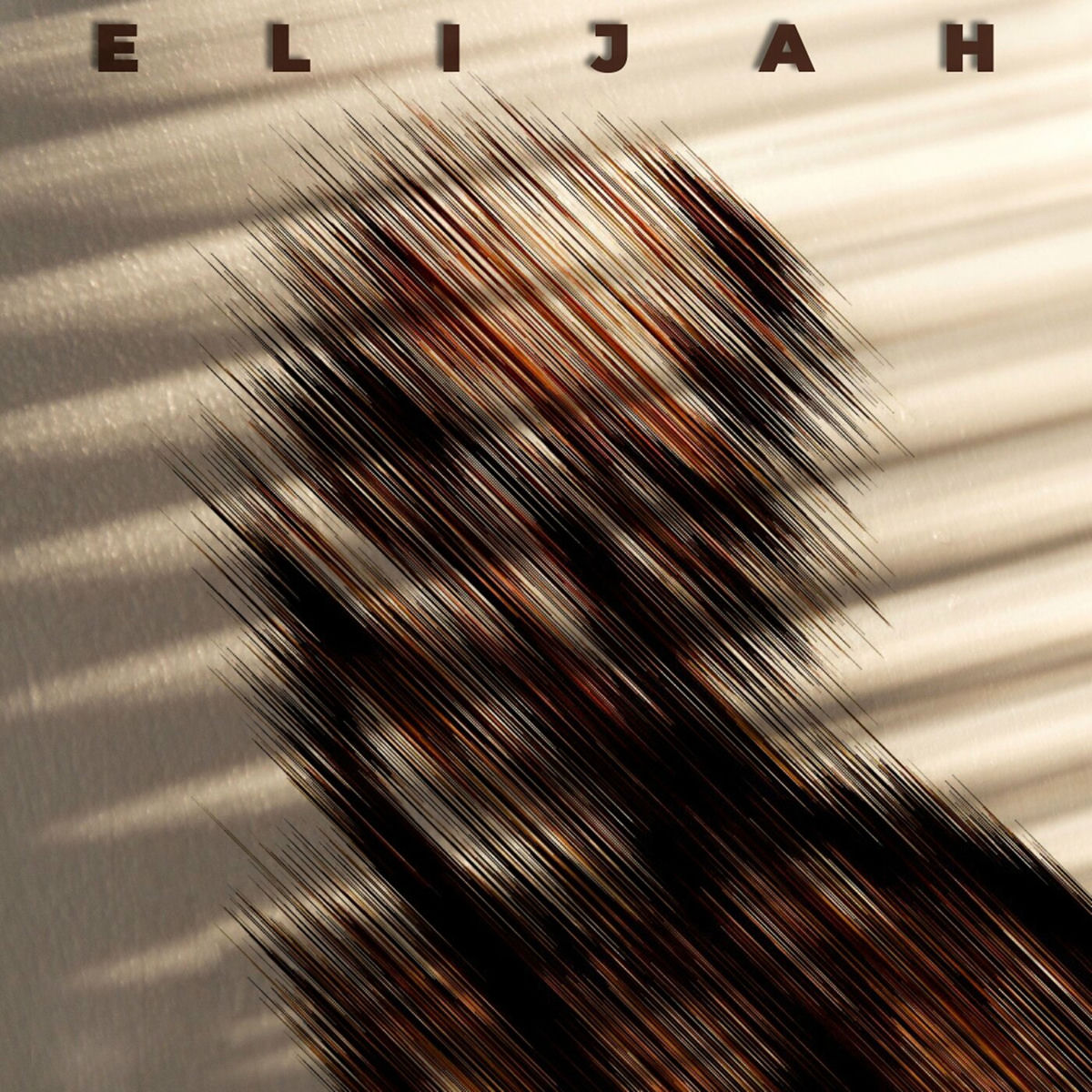 Album cover of Elijah