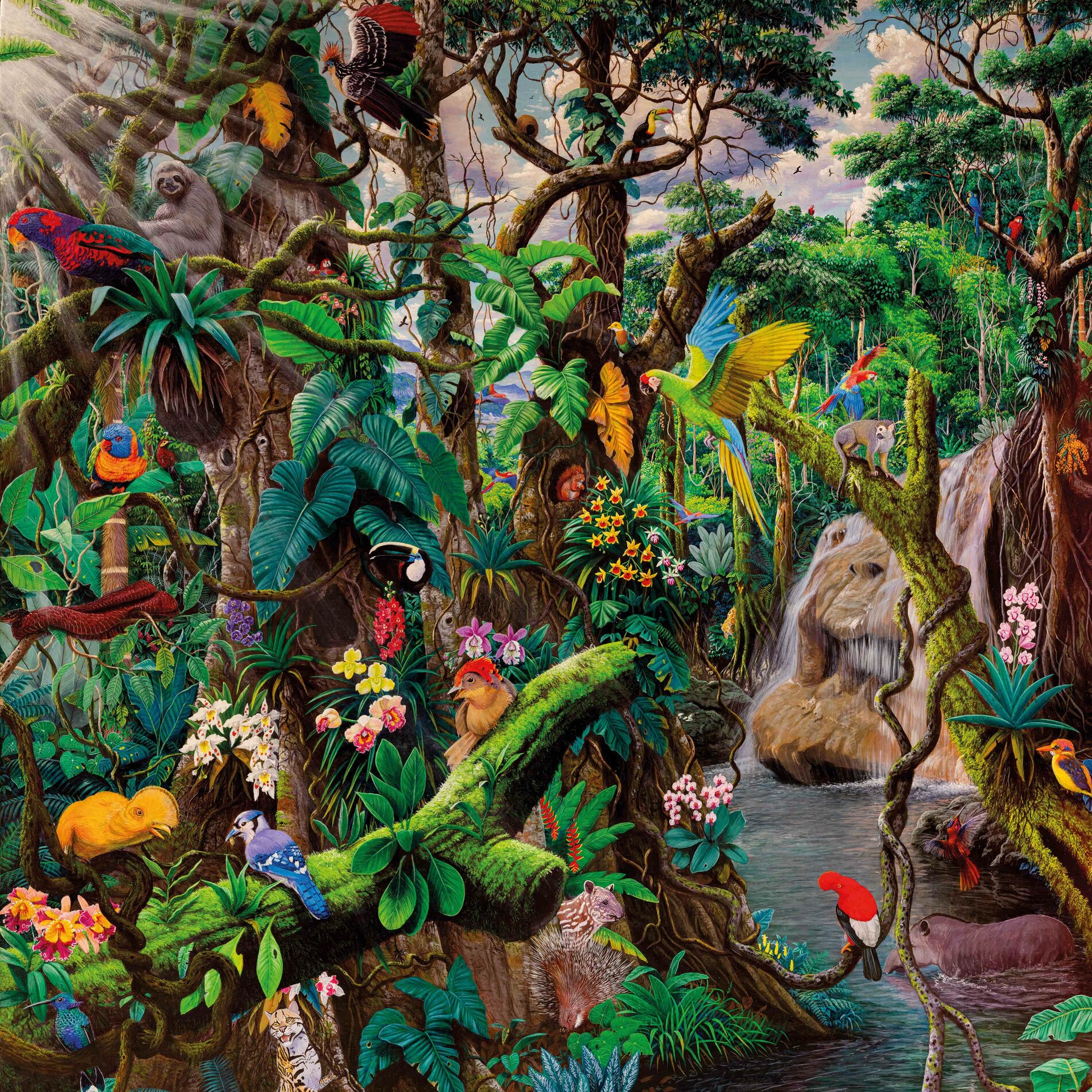 Album cover of Optagon