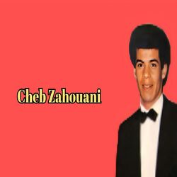 Zawjouni Sghira