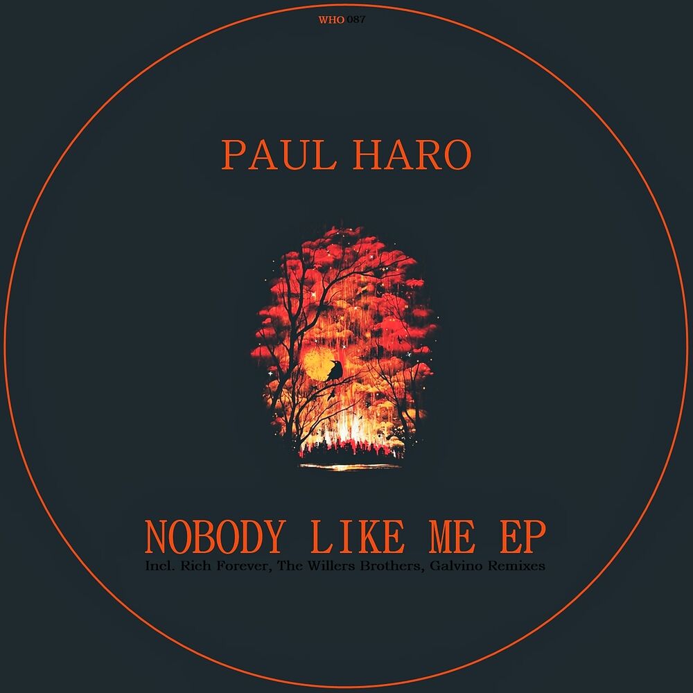 Picture of Nobody Like Me EP