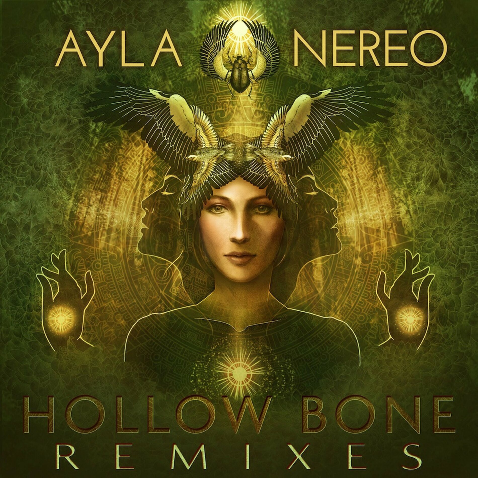 Album cover of Hollow Bone (Remixes)