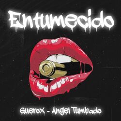 Cover of Entumecido