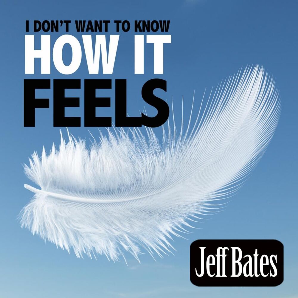 Picture of I Don't Want to Know How It Feels