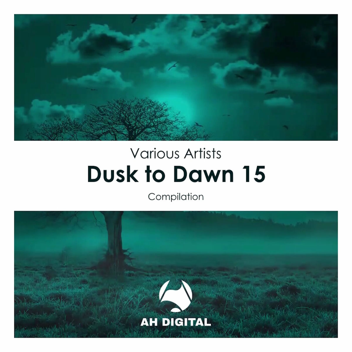 Album cover of Dusk to Dawn 15