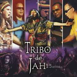Cover of 15 Anos (Ao vivo)