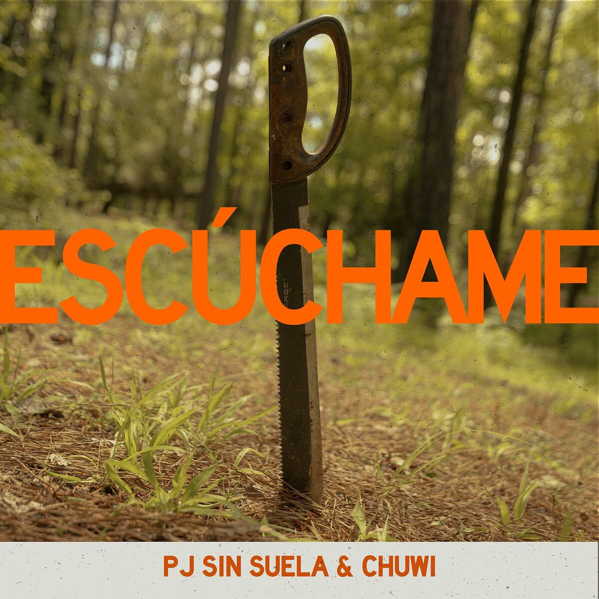 Album cover of Escúchame