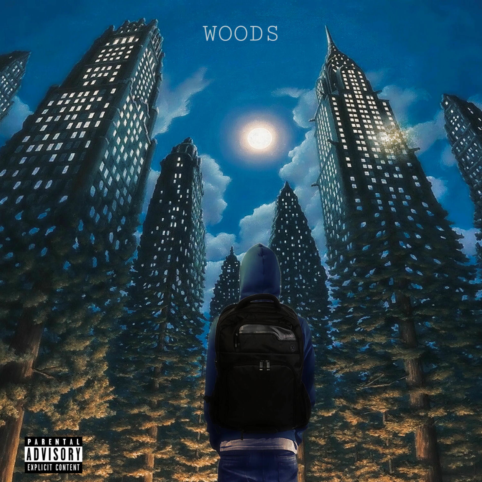 Album cover of Woods