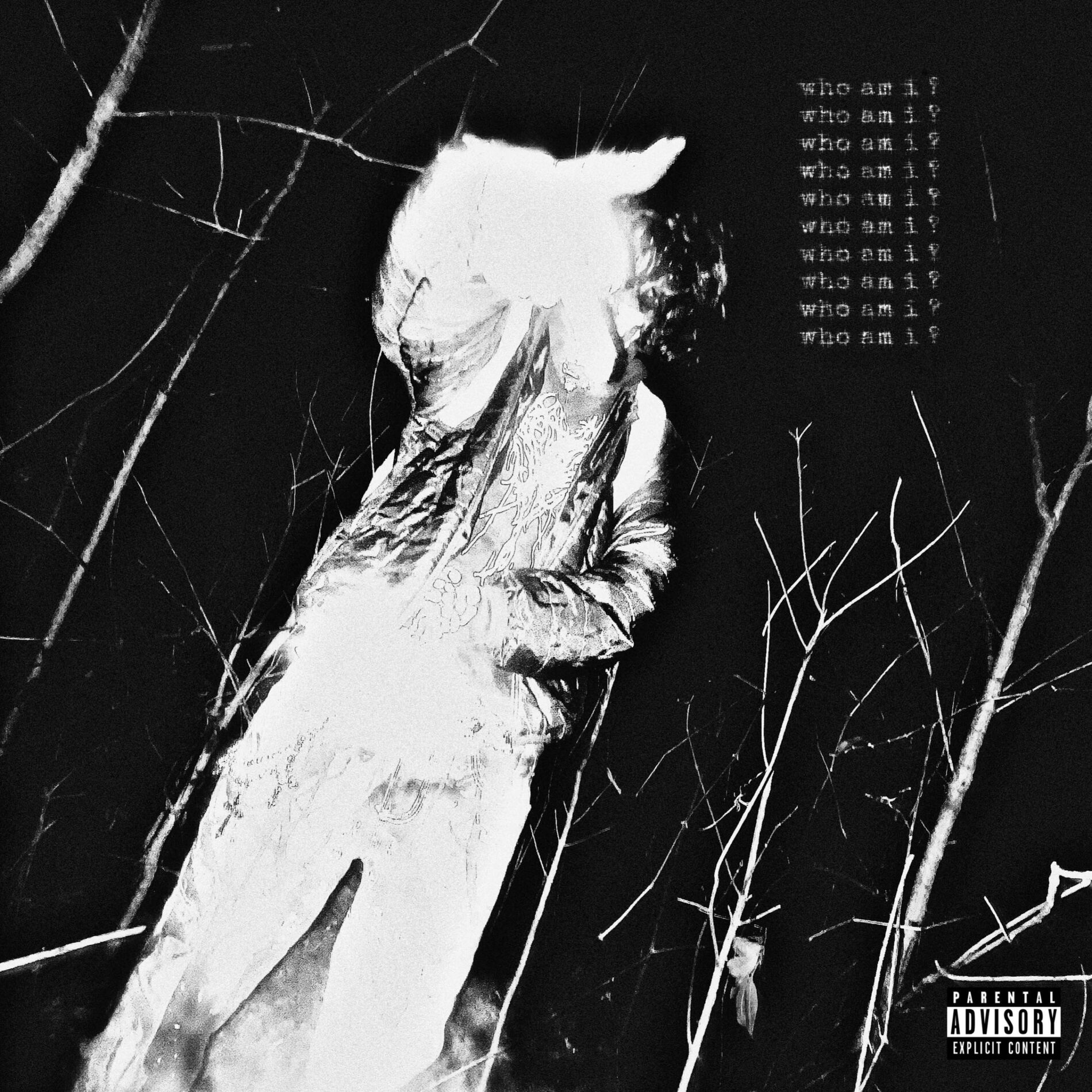 Album cover of WHO AM I? (feat. PULSE & MO BEATS)