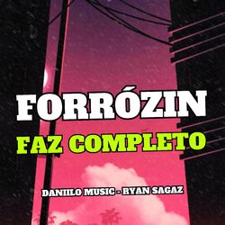Cover of Forrózin Faz Completo