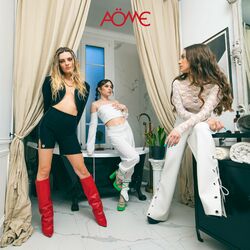 Cover of Ex