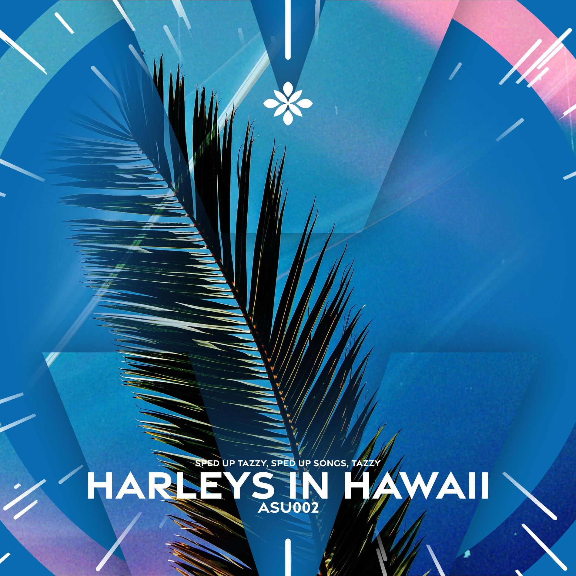 Album cover of harleys in hawaii - sped up + reverb