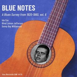 Cover of Blue Notes – A Blues Survey from 1920-1960, vol. 6