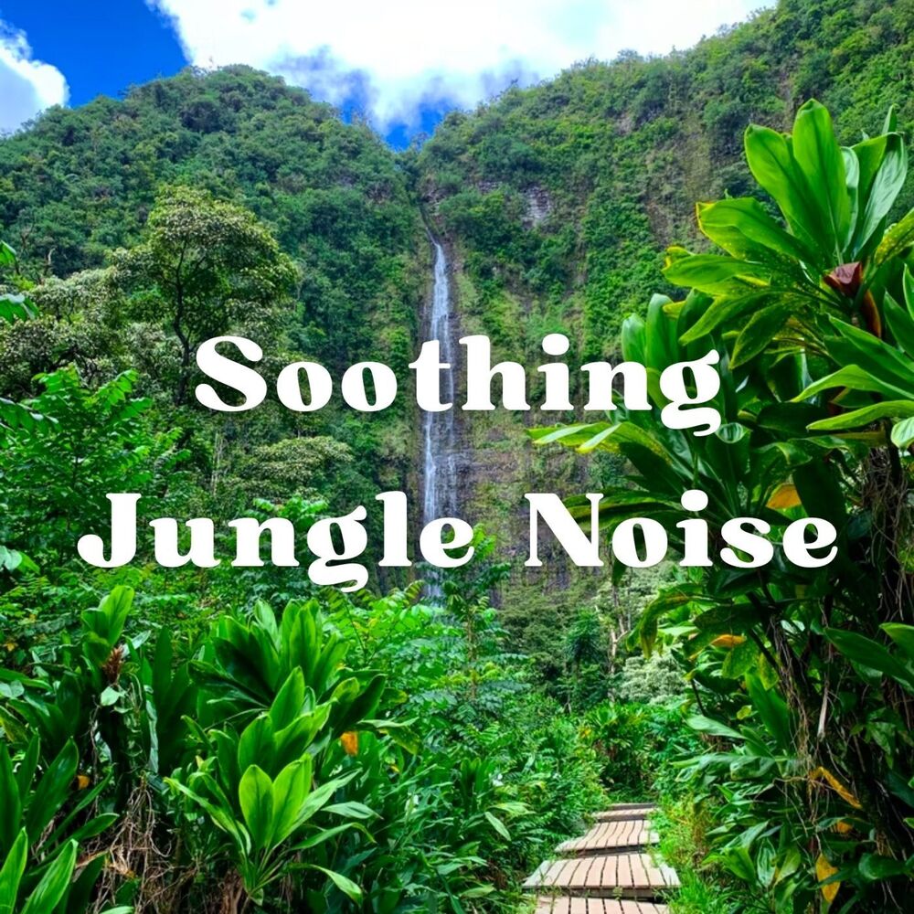 Picture of Soothing Jungle Noise - 1 hour
