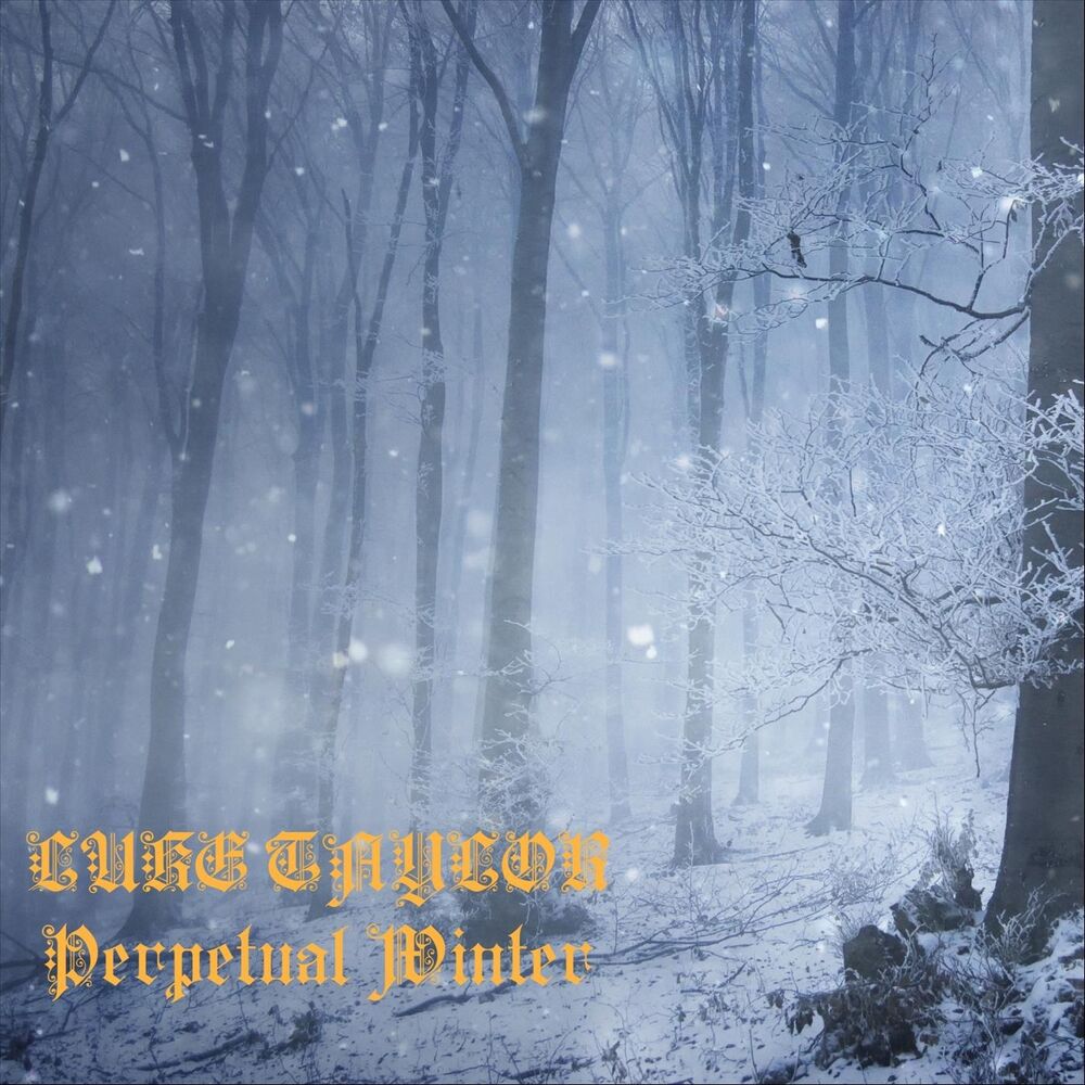 Picture of Perpetual Winter