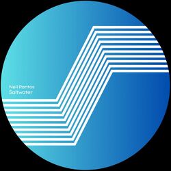 Cover of Salt Water
