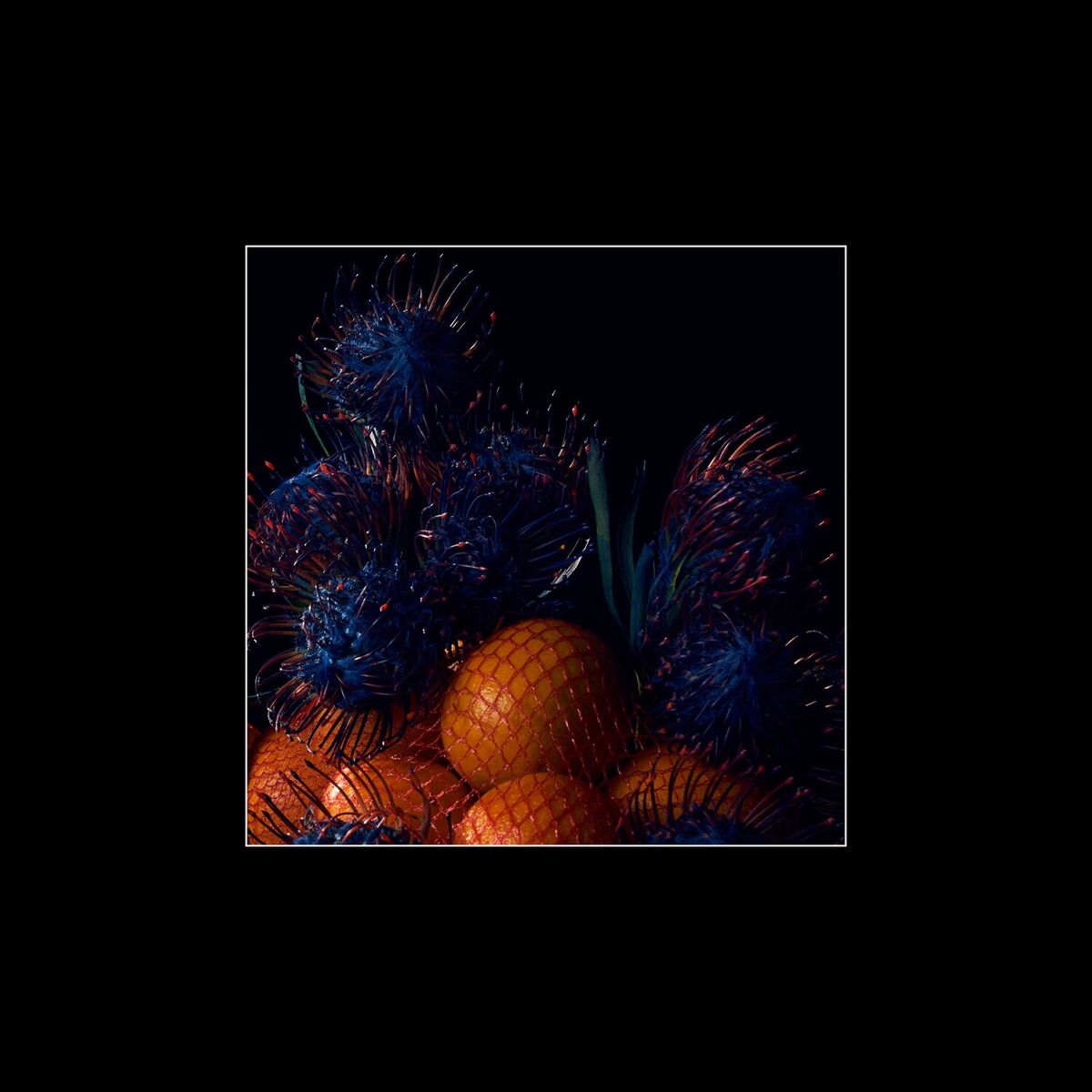 Album cover of Neroli