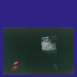Cover of The Distance