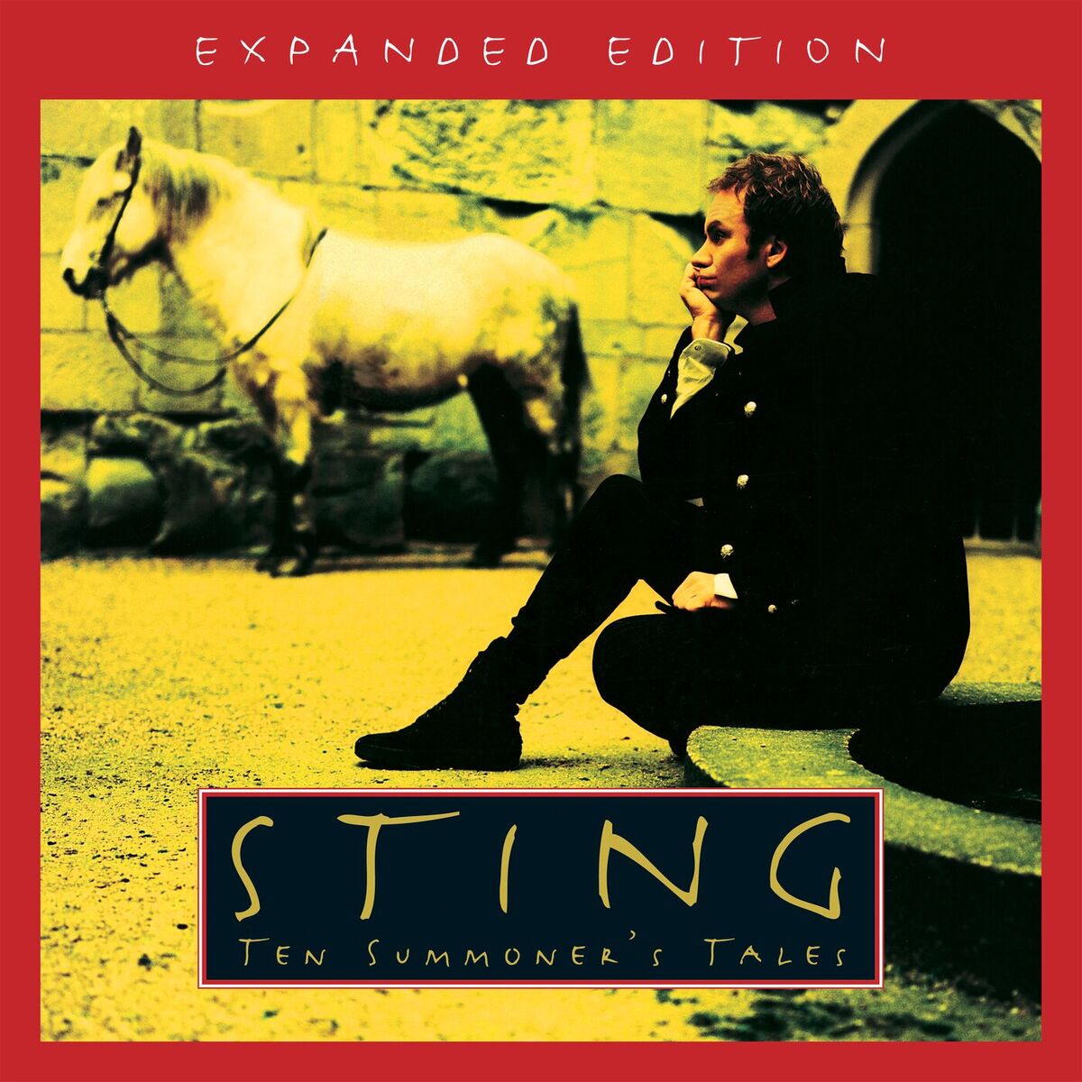 Album cover of Ten Summoner's Tales (Expanded Edition)