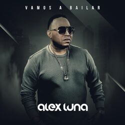 Cover of Vamos a Bailar