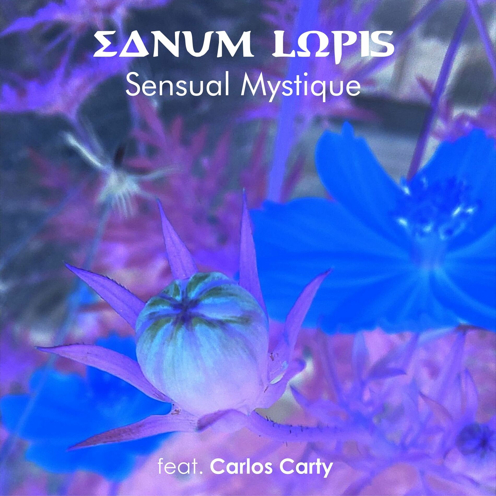 Album cover of Sensual Mystique (Remix)