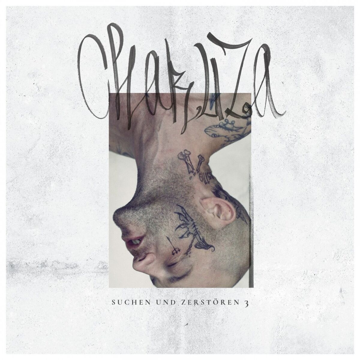 Album cover of Suchen & Zerstören 3