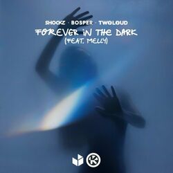 Cover of Forever in the Dark