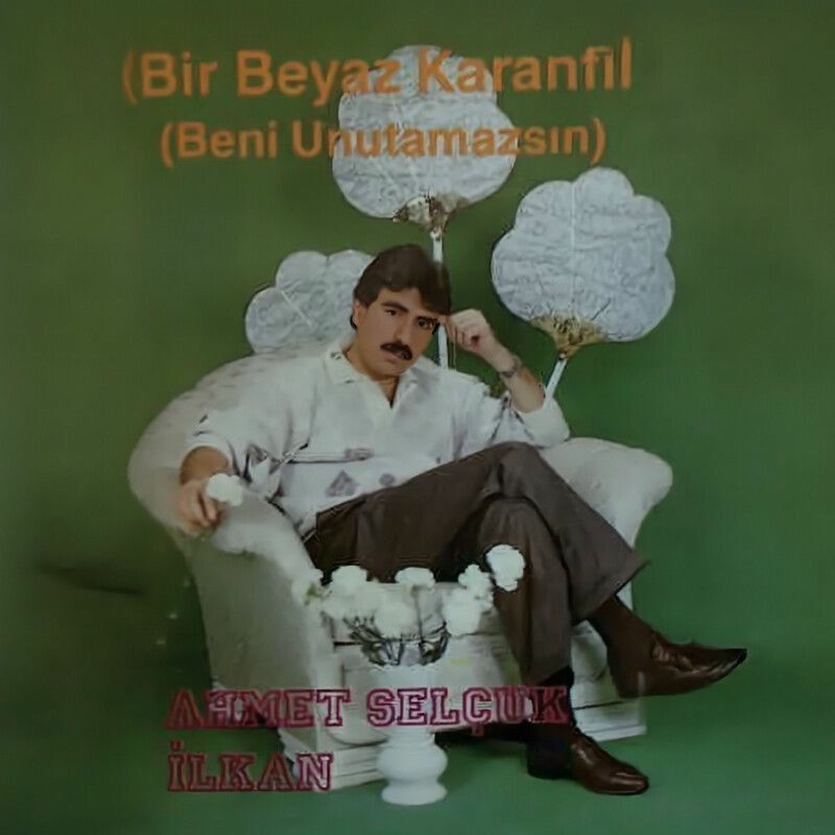 Album cover of Bir Beyaz Karanfil (Beni Unutamazsın)