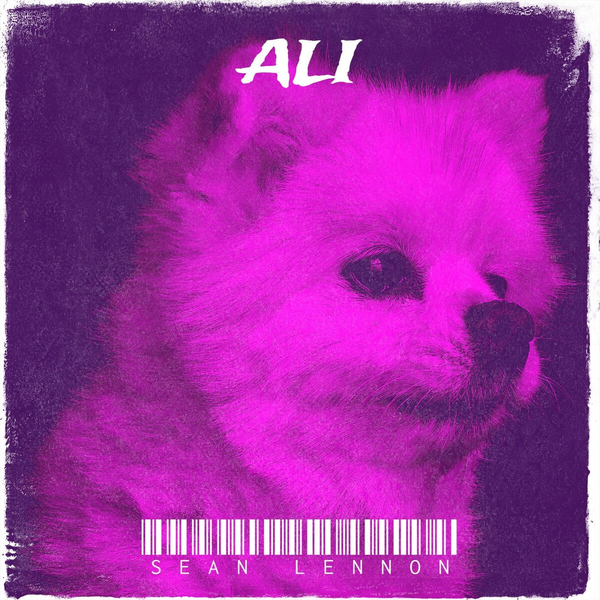 Album cover of Ali